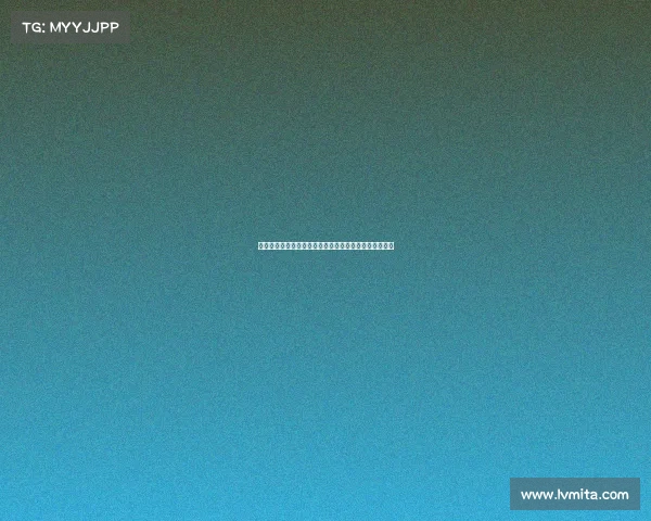 赛事主办方承办方为核心驱动赛事创新发展共创辉煌未来